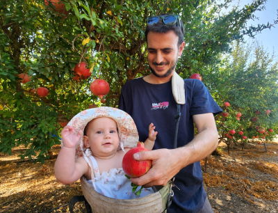 אבא עוזיאל לובובסקי והתינוקת רומי לובובסקי  במטעים ביסוד המעלה בעמק החולה. 